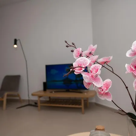 Apartment The Blue Fish